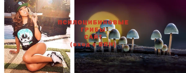 ГАЛЛЮЦИНОГЕННЫЕ ГРИБЫ Алексин