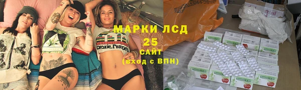 ГАЛЛЮЦИНОГЕННЫЕ ГРИБЫ Алексин