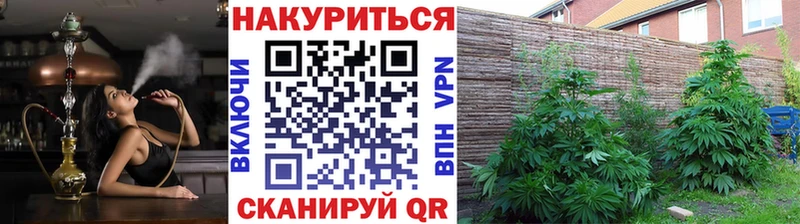 ссылка на мегу вход Липки Каннабис конопля